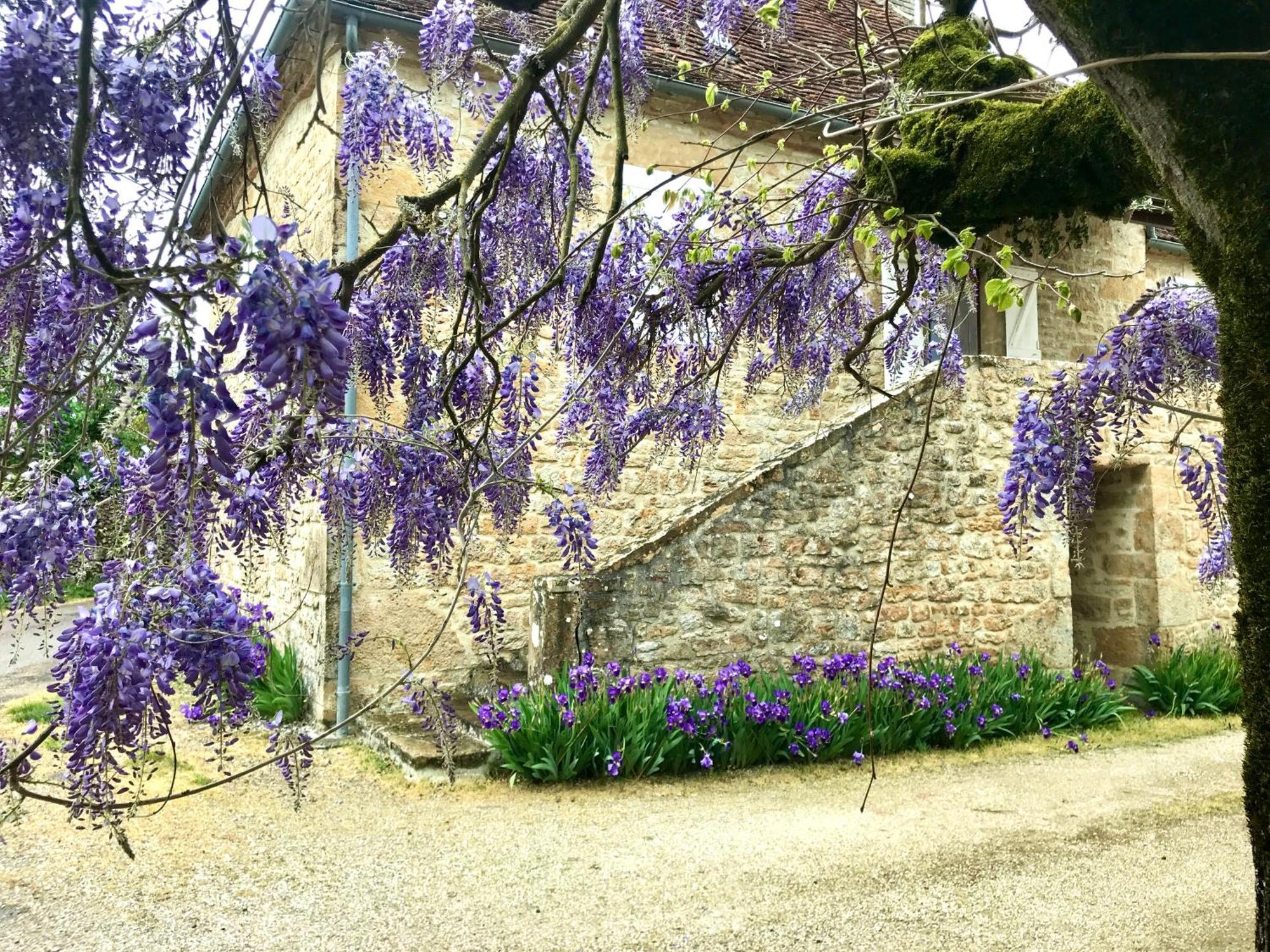 Manoir De Rieuzal Acomodação com café da manhã Loubressac Exterior foto
