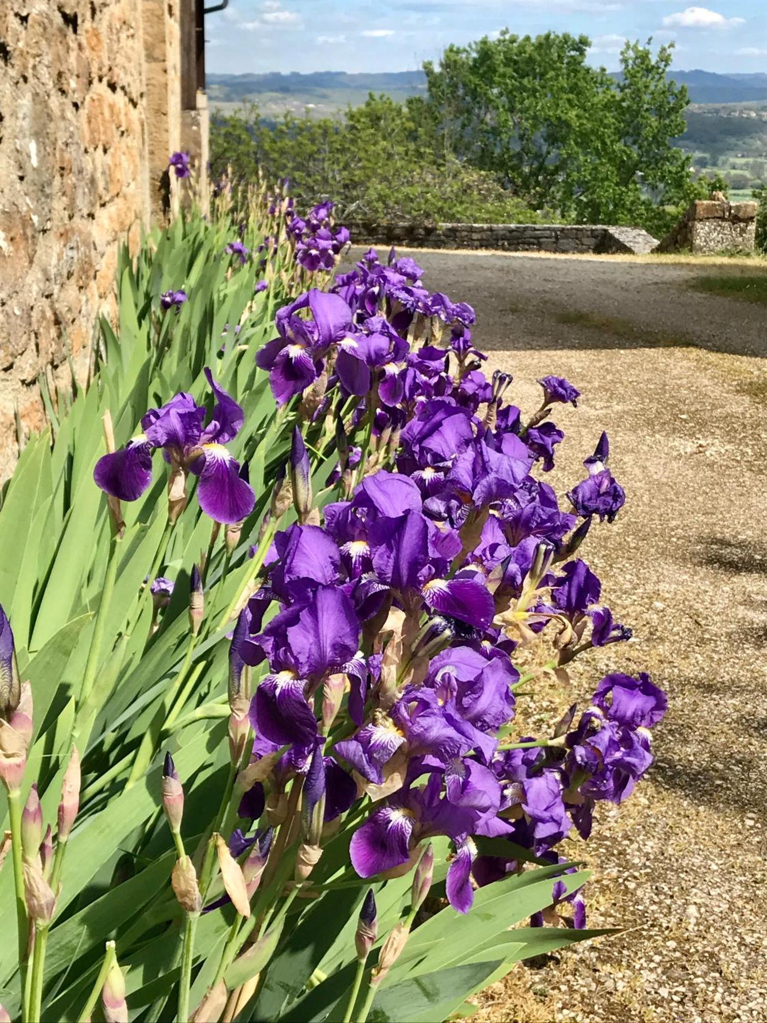 Manoir De Rieuzal Acomodação com café da manhã Loubressac Exterior foto