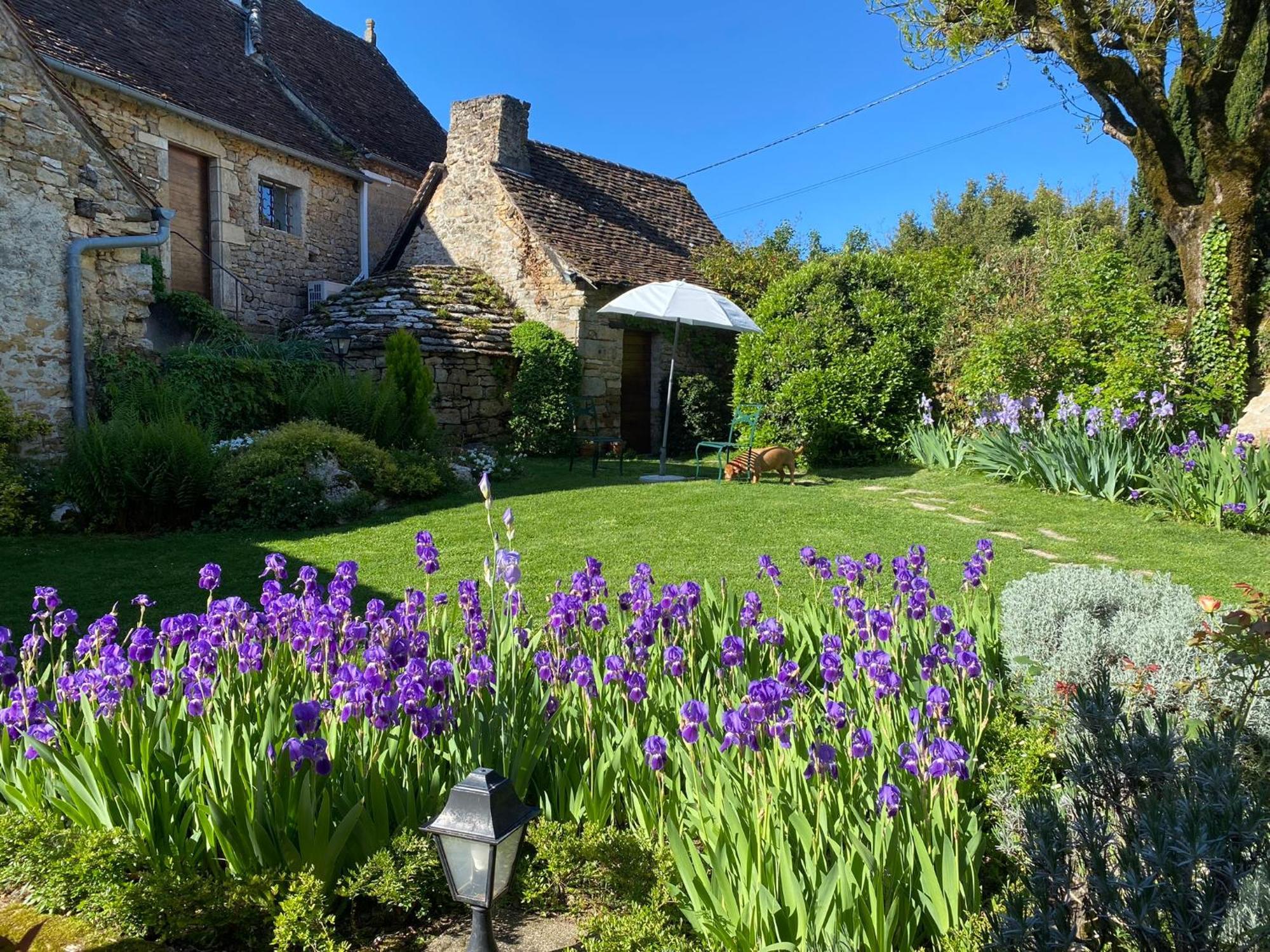 Manoir De Rieuzal Acomodação com café da manhã Loubressac Exterior foto