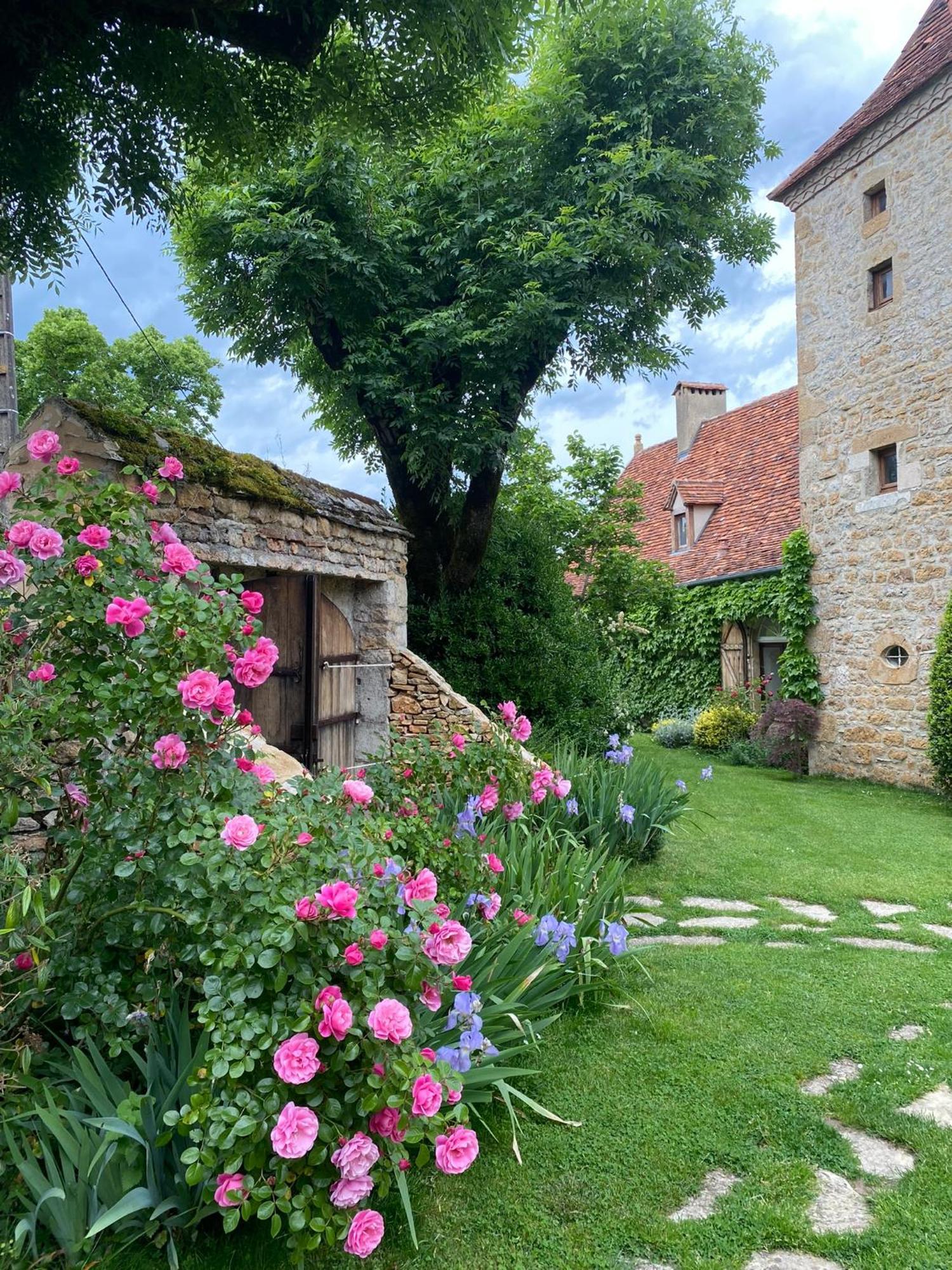 Manoir De Rieuzal Acomodação com café da manhã Loubressac Exterior foto