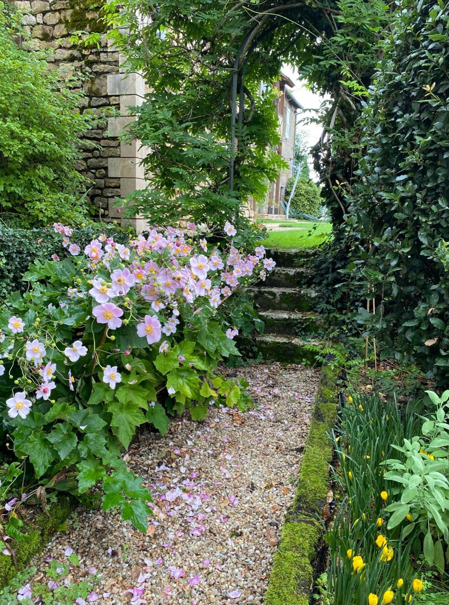 Manoir De Rieuzal Acomodação com café da manhã Loubressac Exterior foto
