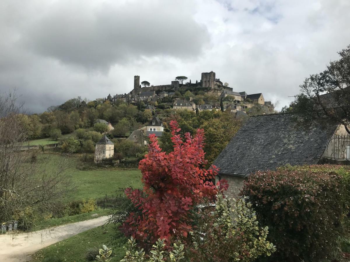 Manoir De Rieuzal Acomodação com café da manhã Loubressac Exterior foto